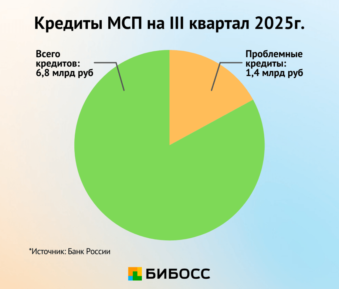 проблемные кредиты мсп