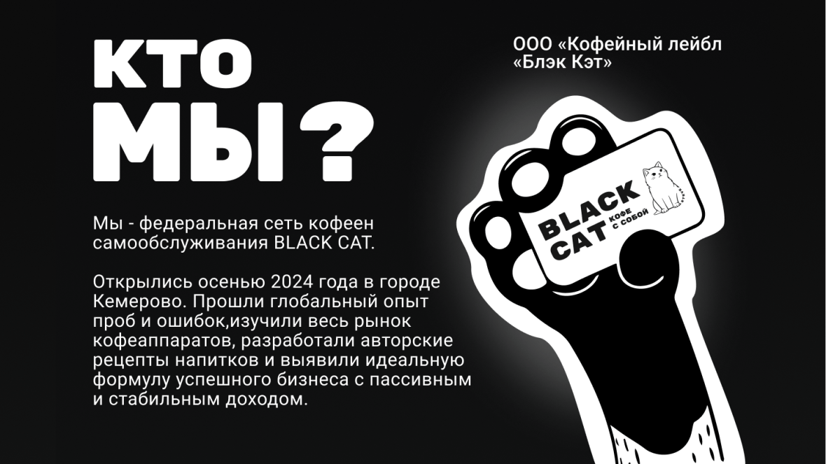 Франшиза BLACK CAT