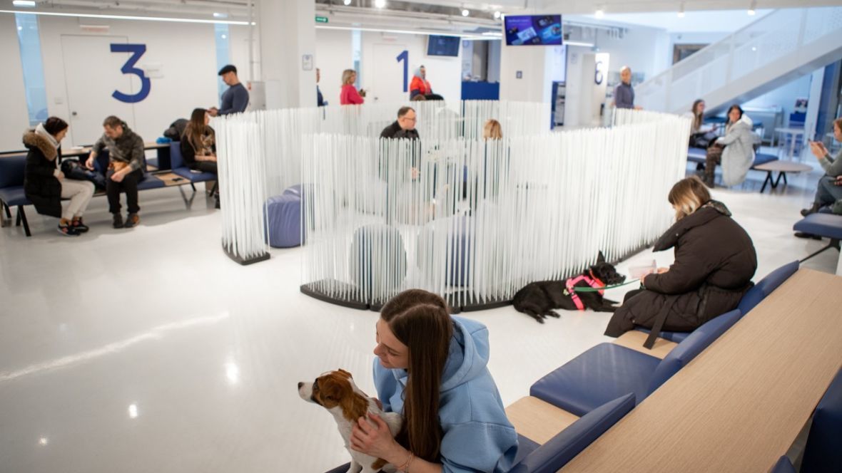Франшиза Vetcity Clinic