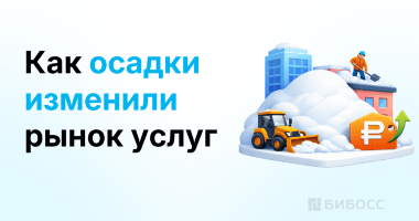 Рекордный снегопад перевернул рынок услуг в Москве