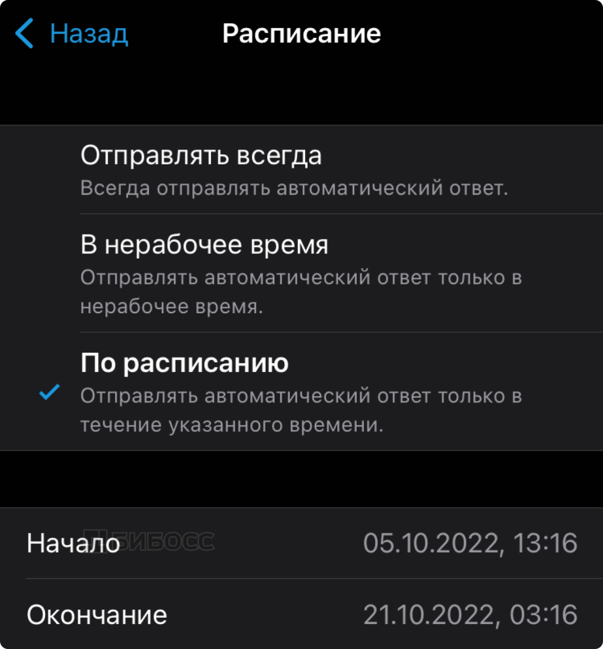 Расписание отправки сообщений в WA Business на iPhone