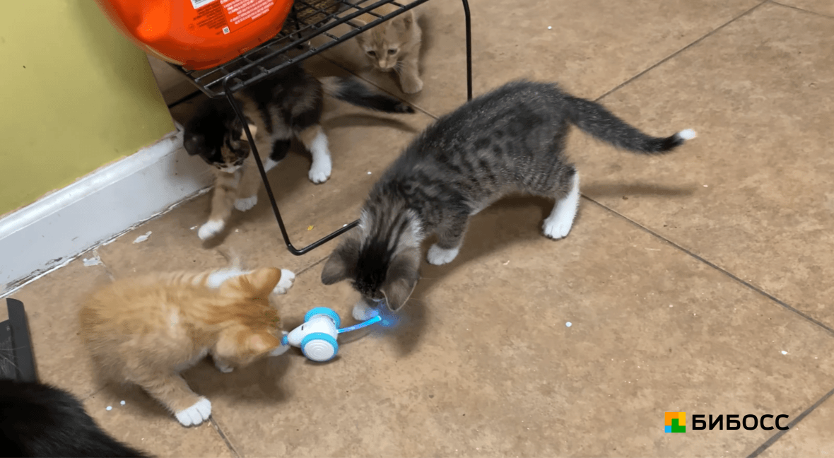 движущиеся реагирующие игрушки