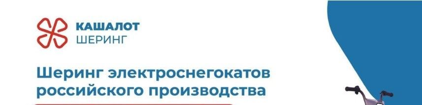 Кашалот шеринг электроснегокатов