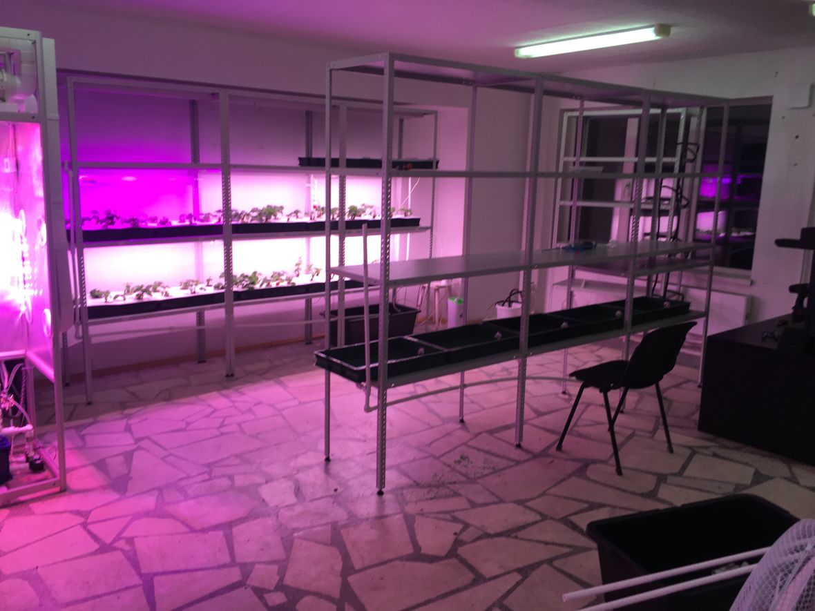 С этого начиналось