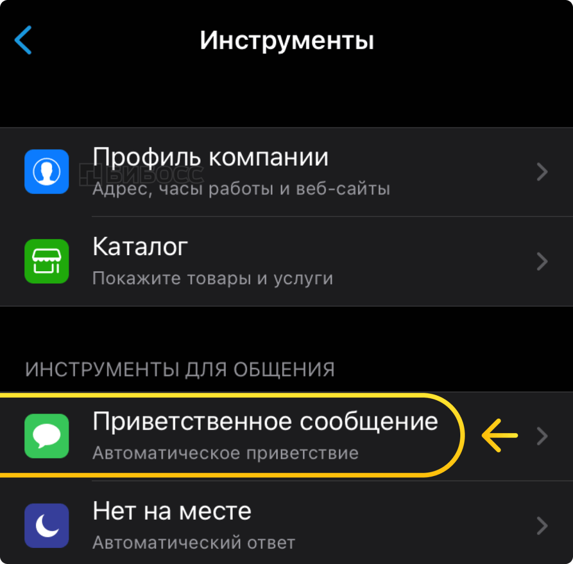 Приветственное сообщение в WA Business на iPhone