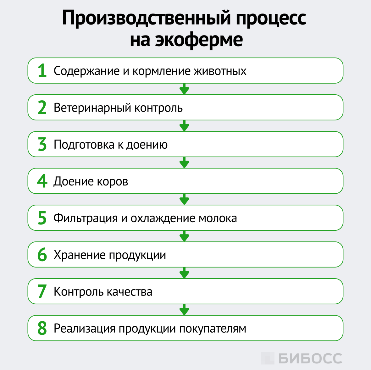 производственный процесс на экоферме