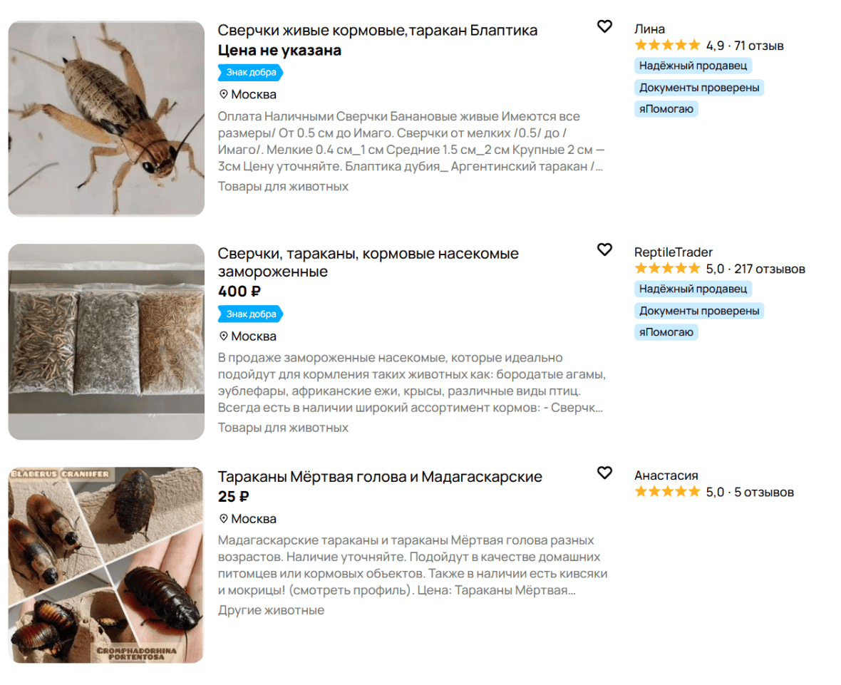 объявления о продаже кормовых тараканов и сверчков