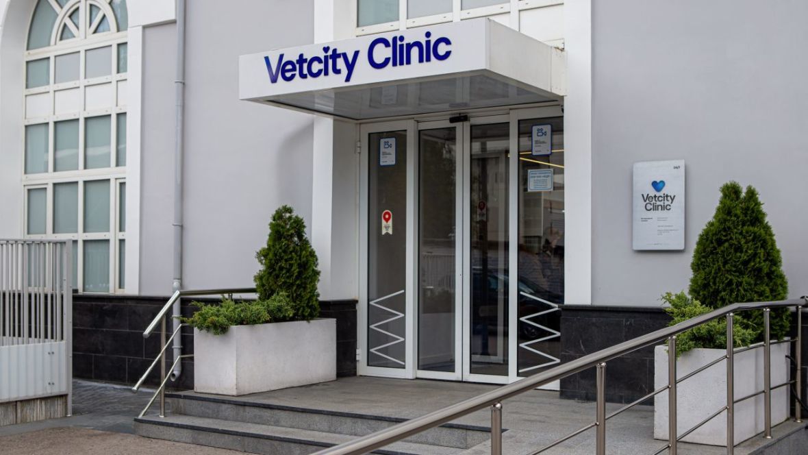 Франшиза Vetcity Clinic