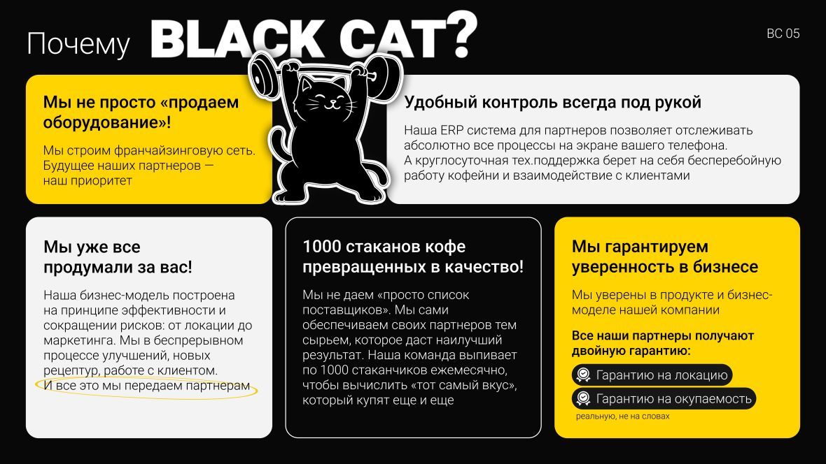 франшиза BLACK CAT