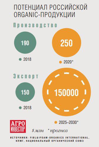 Почему бизнес на эко-товарах актуален сейчас