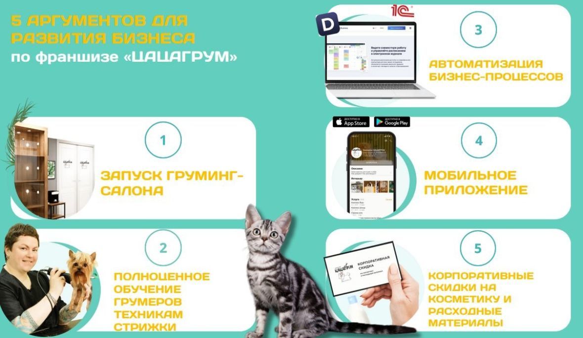 франшиза ЦАЦАГРУМ