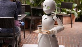 Искусственный интеллект за стойкой: новые тенденции в общепите и смогут ли роботы заменить людей
