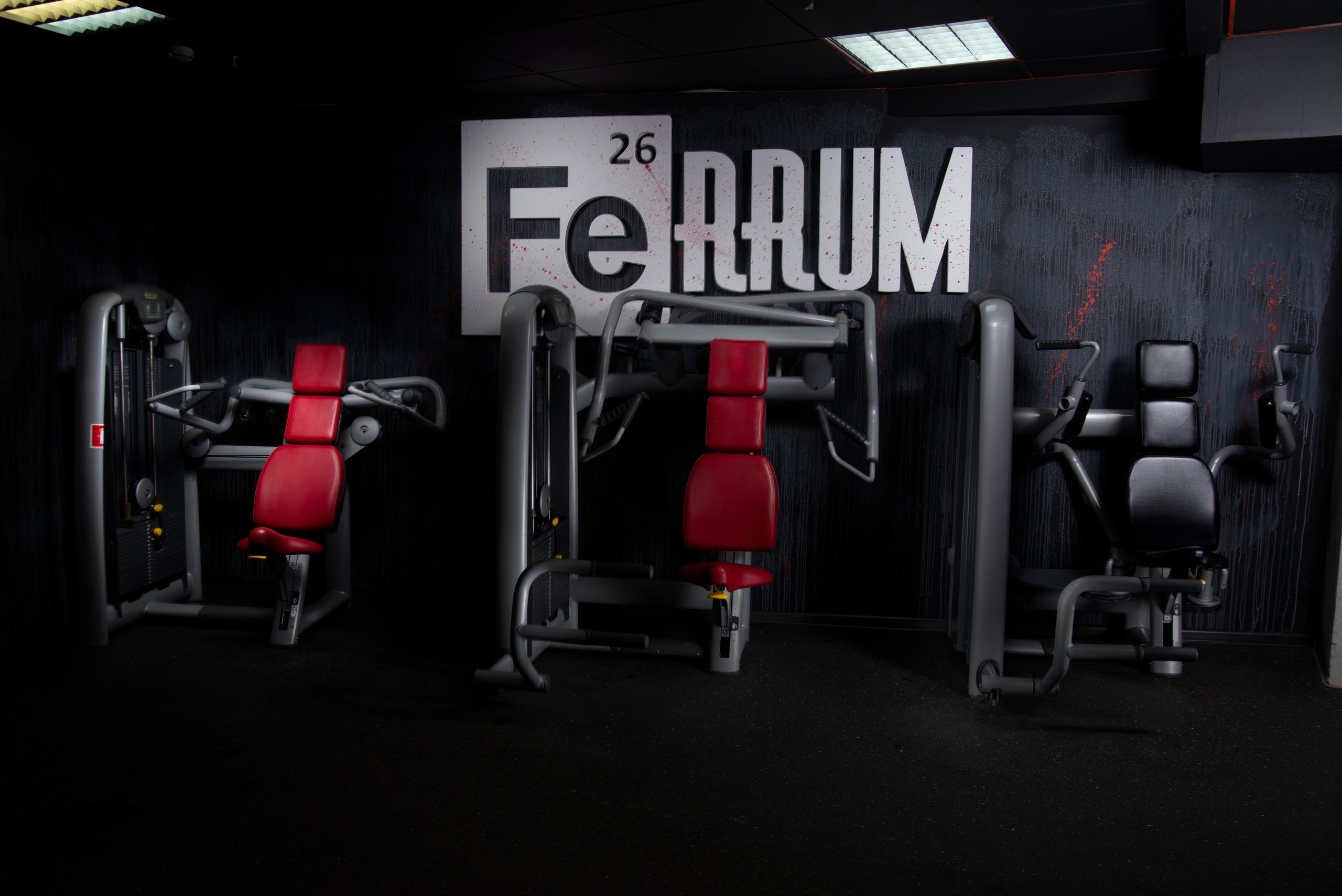 Фитнес-центры Ferrum