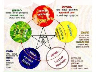 Тяньши,Тиенс,Tiens