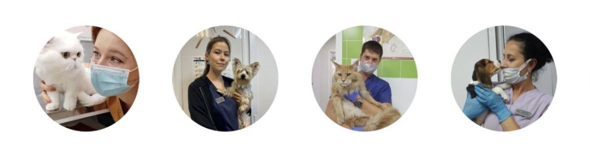 Франшиза Доктор Зоо