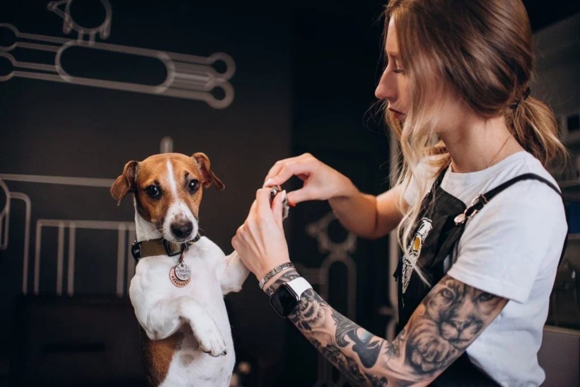 франшиза BARBERDOG
