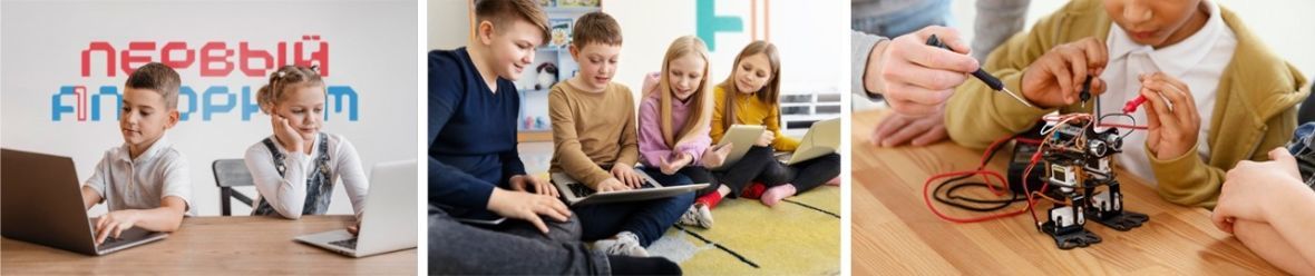 франшиза Первый алгоритм