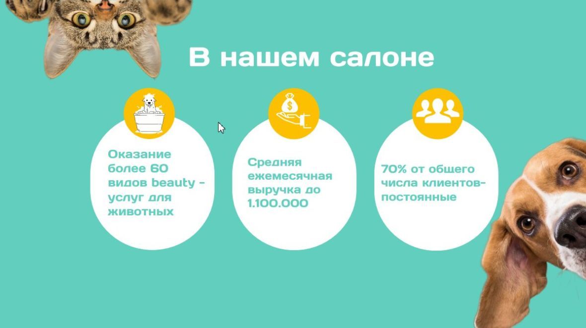 франшиза ЦАЦАГРУМ