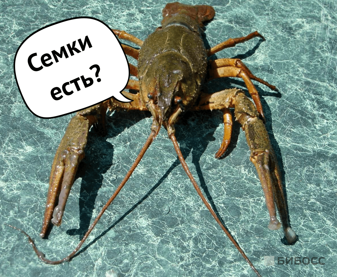  чем кормить раков