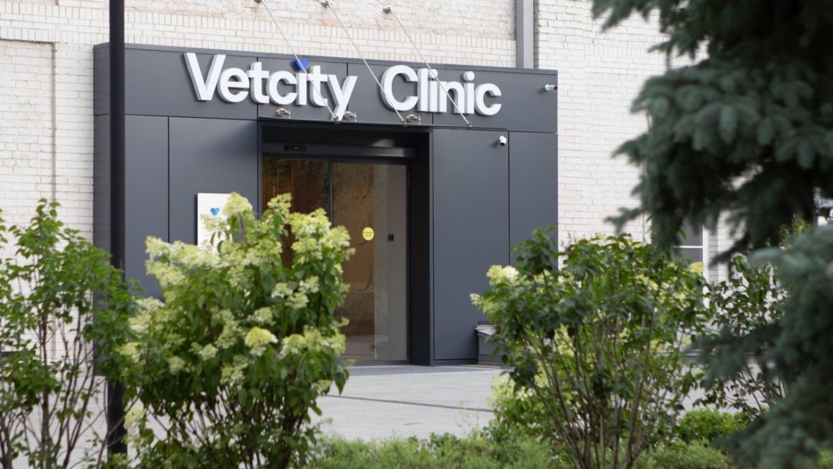 Франшиза Vetcity Clinic