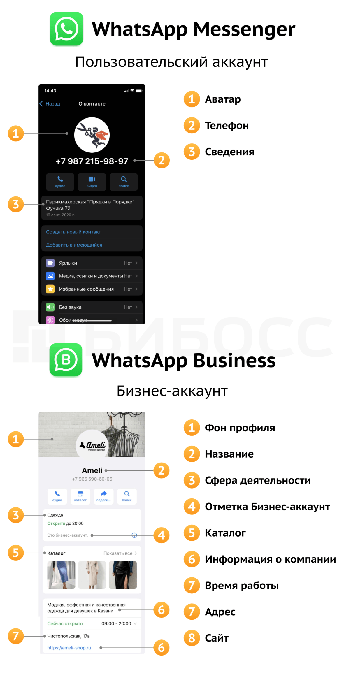 Отличие пользовательского и бизнес-аккаунта WhatsAPP