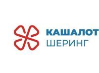 Кашалот шеринг электроснегокатов