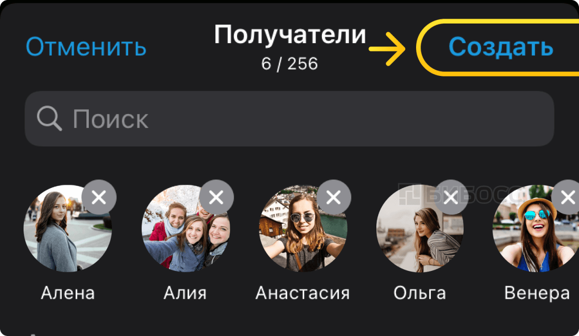 Получатели рассылки в бизнес-аккаунте WhatsApp на iPhone.