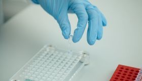 «ЛабКвест Генетика» за восемь месяцев увеличила объём исследований в 3,5 раза