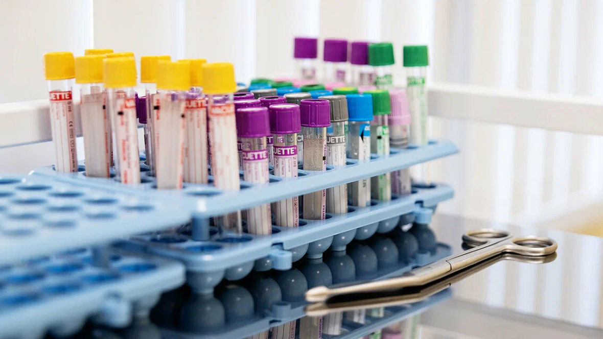 Франшиза KDL