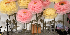 Ростовые цветы